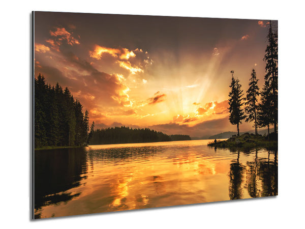 yellow skies woods Metal Print