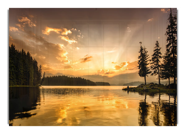 yellow skies woods