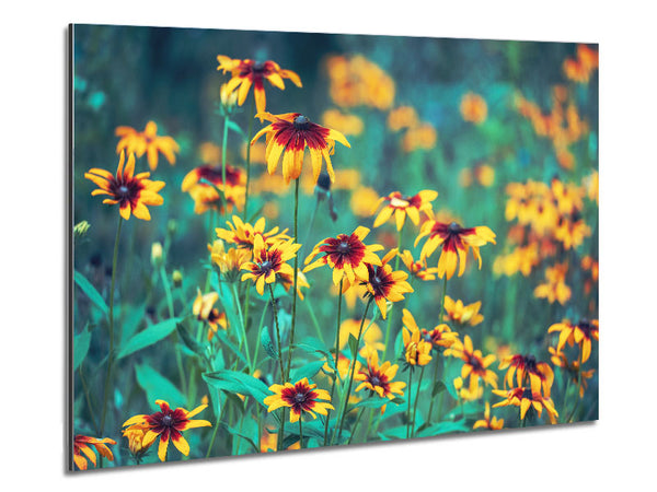 Yellow flowers in the greenery Metal Print