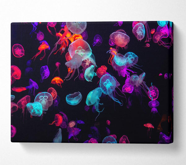  A Canvas Print of Neon Jellyfish frenzy Canvas Print