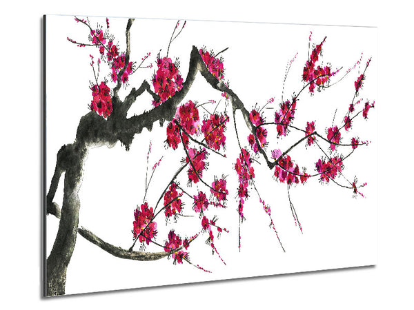Cherry blossom illustration Metal Print