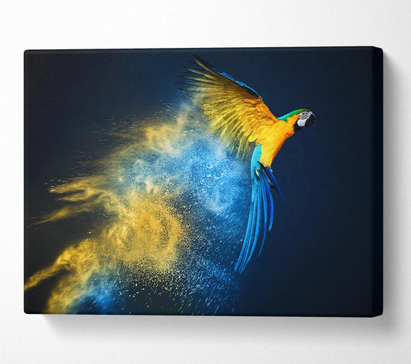  A Canvas Print of powder parrot take off Canvas Wall Art