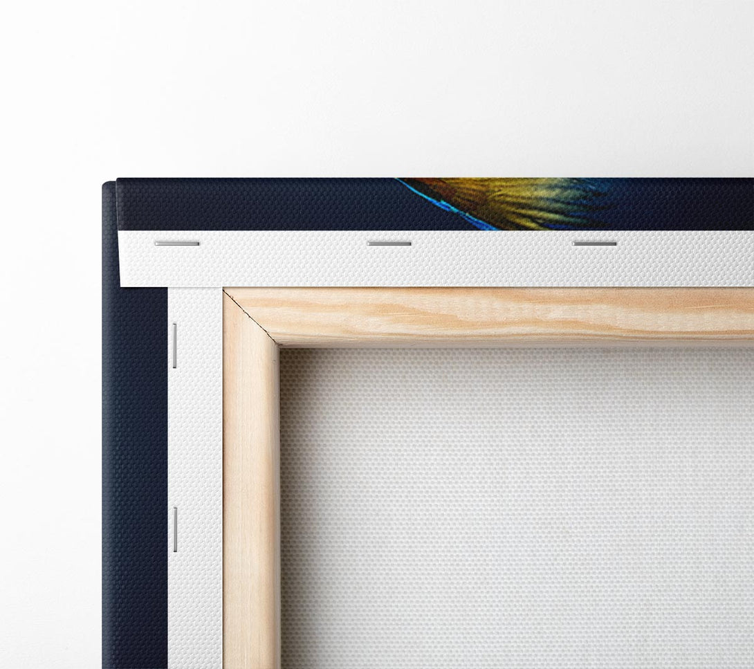  A Canvas Print of powder parrot take off Canvas Wall Art