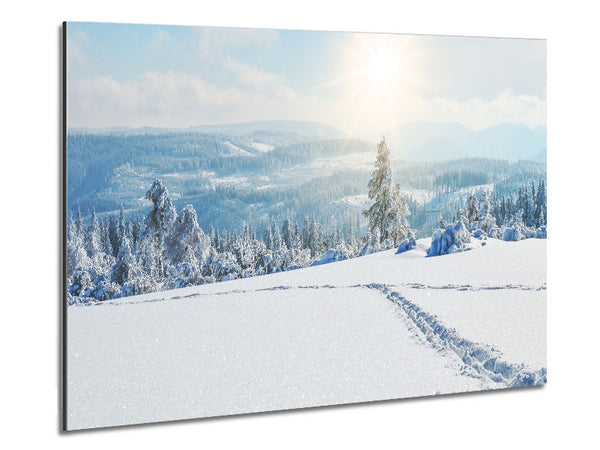 heavy snow on the plane Metal Print