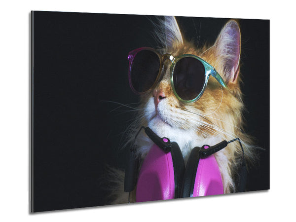 Cool headphones cat with headphones Metal Print