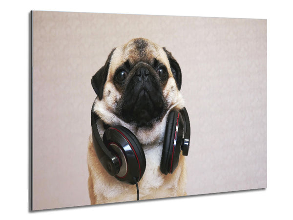 Cool pug wearing headphones Metal Print