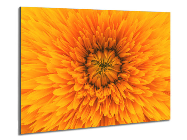 Gorgeous yellow flower delight Metal Print