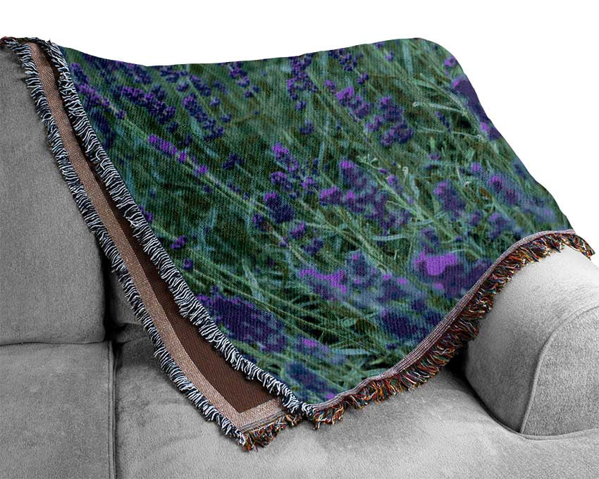 Purple flowers in the meadow spring Woven Blanket