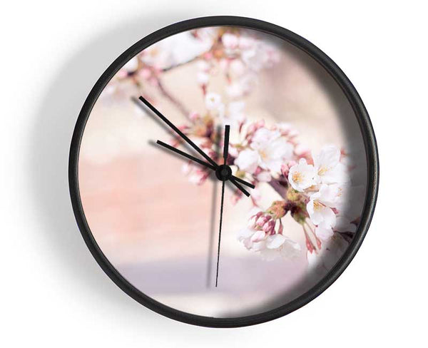 Cherry blossoms decending branch Clock - Wallart-Direct UK