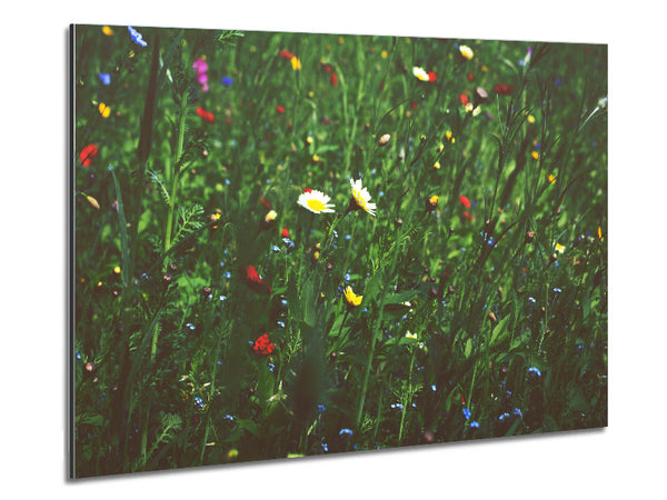 Springtime flowers greenery Metal Print