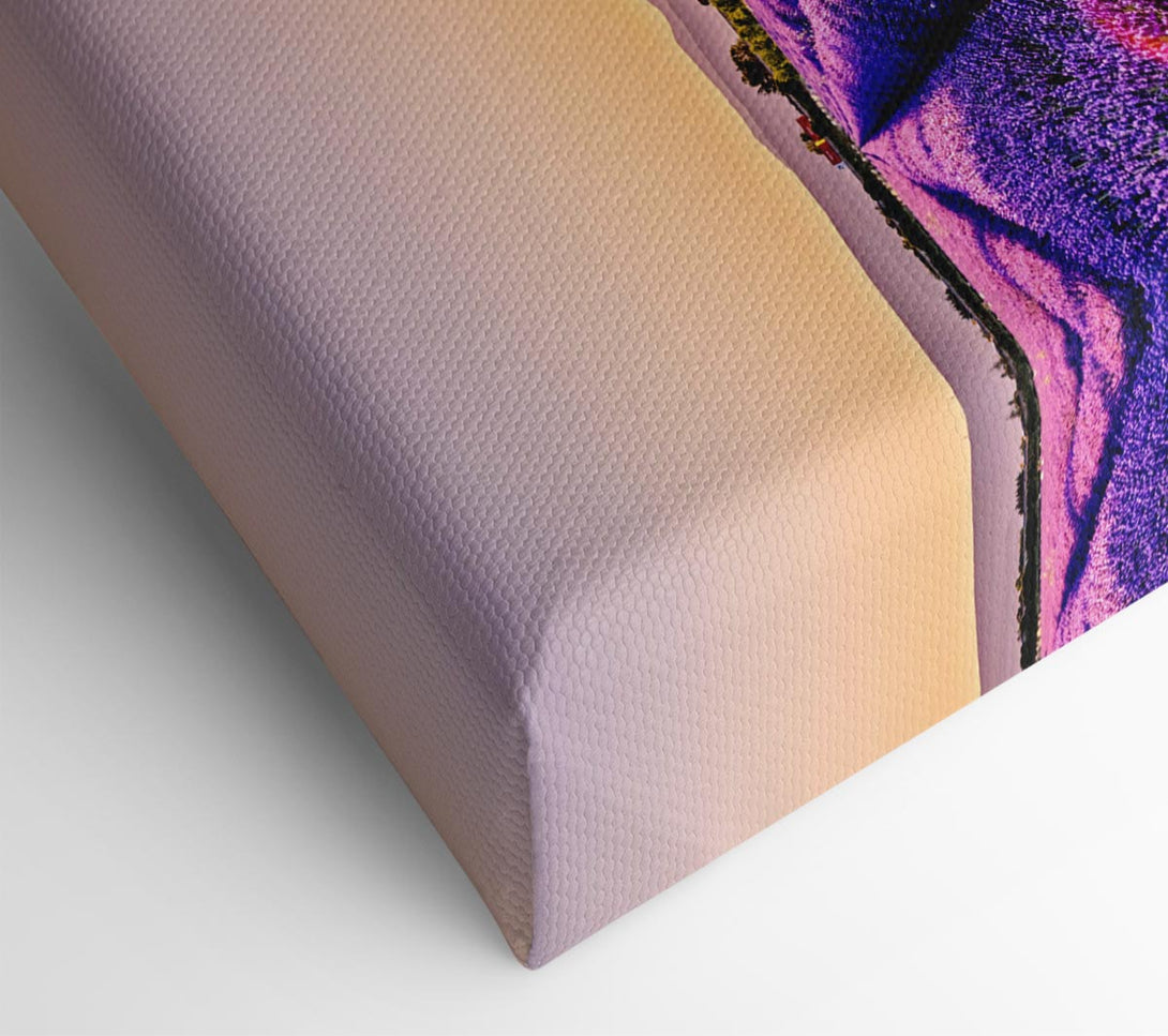  A Canvas Print of Sunflare over the lavender Canvas Print