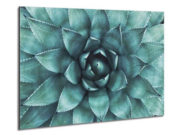 Green cool Zen plant Metal Print