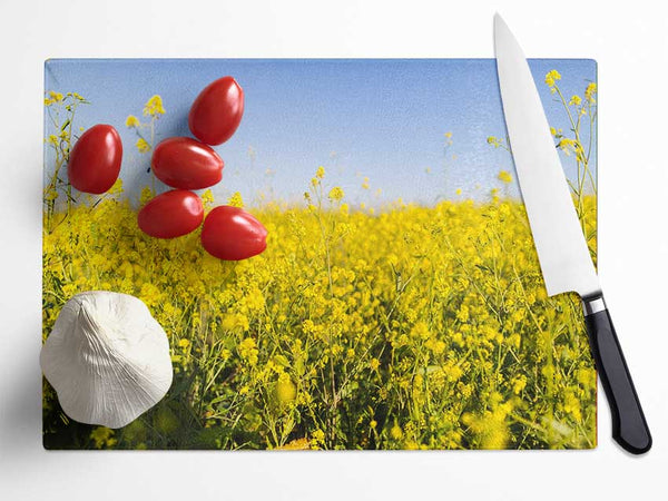 Summer harvest fields Glass Chopping Board