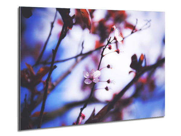 Tree blossom last standing Metal Print