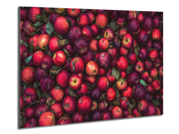 Collection of apples Metal Print