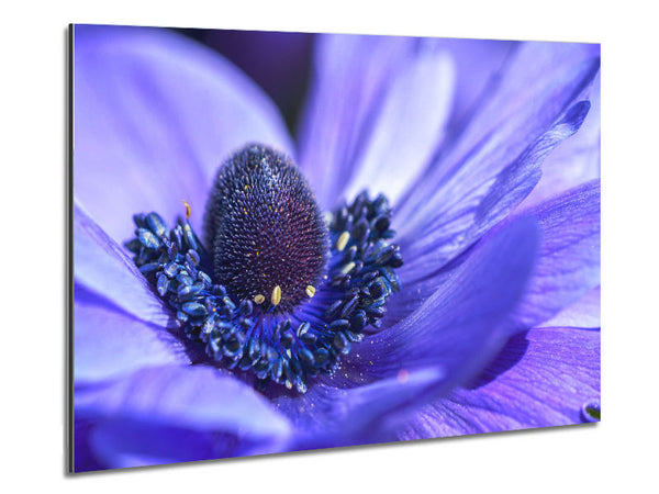 Purple flower inside detail Metal Print