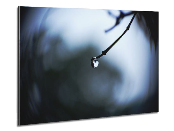 Singele droplet on a twig Metal Print