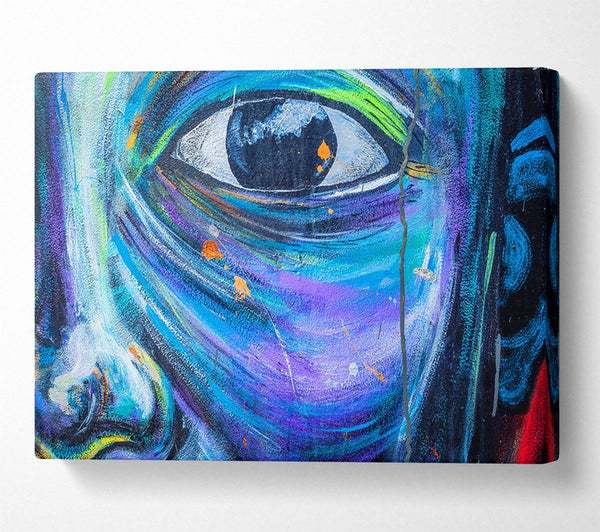  A Canvas Print of Eye And Face Canvas Art