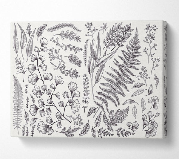  A Canvas Print of Natures Leaves Hand Drawn Canvas Art