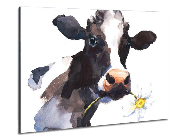 Daisy The Cow Metal Print