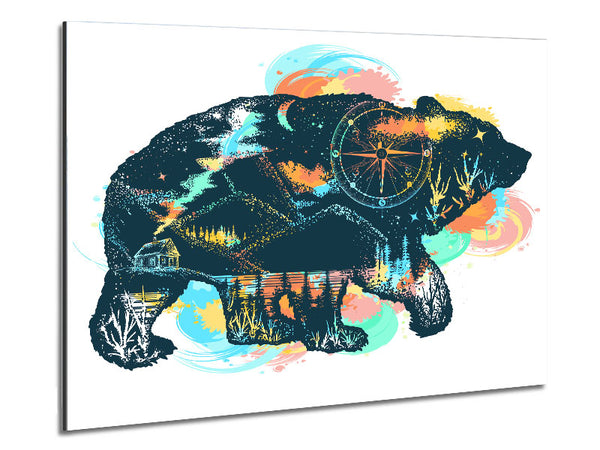 Compass Bear Metal Print
