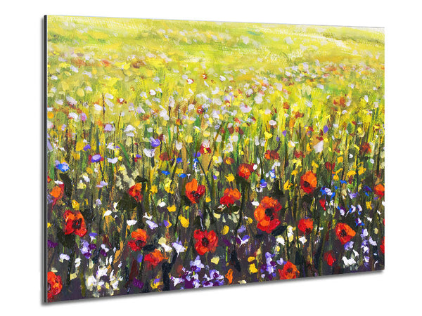 Poppy Field In The Summer Metal Print