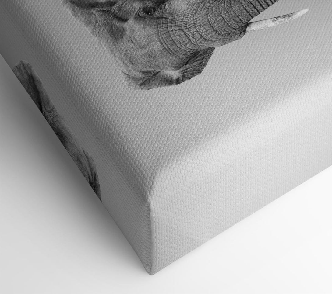  A Canvas Print of Elephant In The Mist Canvas Wall Art