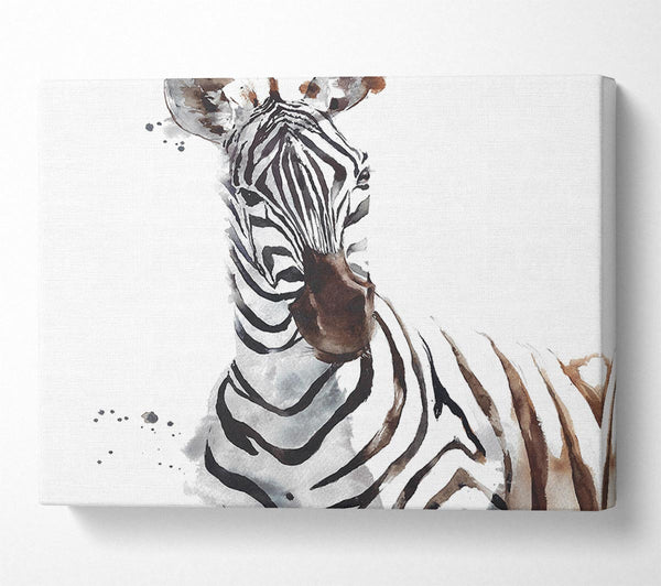  A Canvas Print of Zebta Splatter Canvas Art
