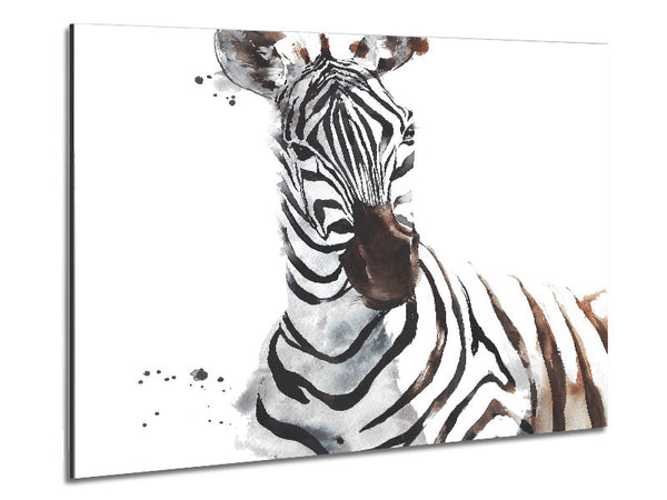 Zebta Splatter Metal Print