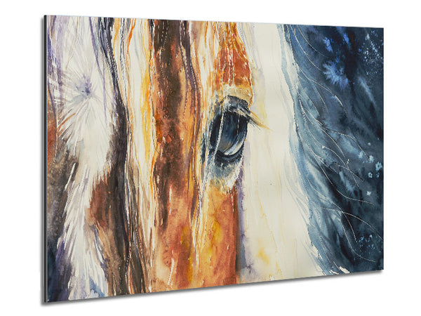 Deep Into Horses Eye Metal Print