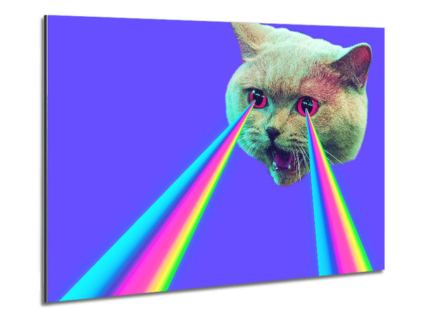 Cat Lazer Beam Metal Print