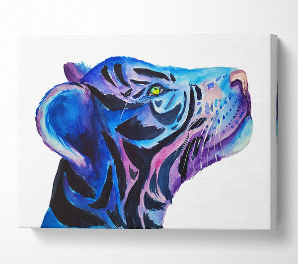  A Canvas Print of Stunning Tiger Cub Blues Canvas Wall Art