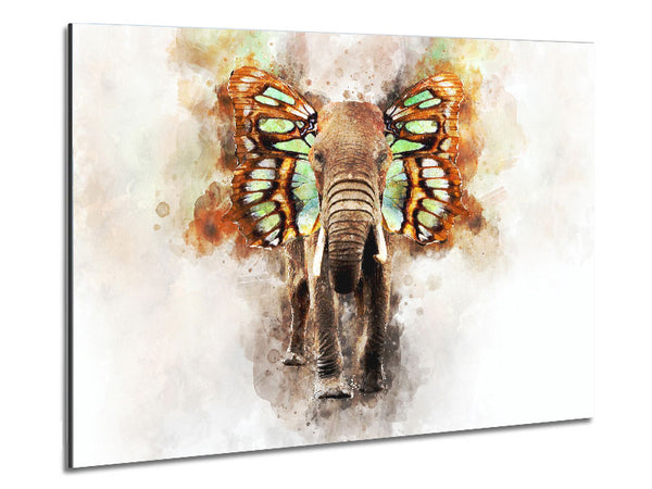 Elephant Butterfly Ears Metal Print