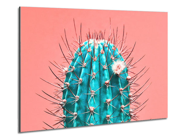 Teal Cactus Metal Print