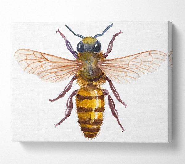  A Canvas Print of Watercolour Bee Canvas Print