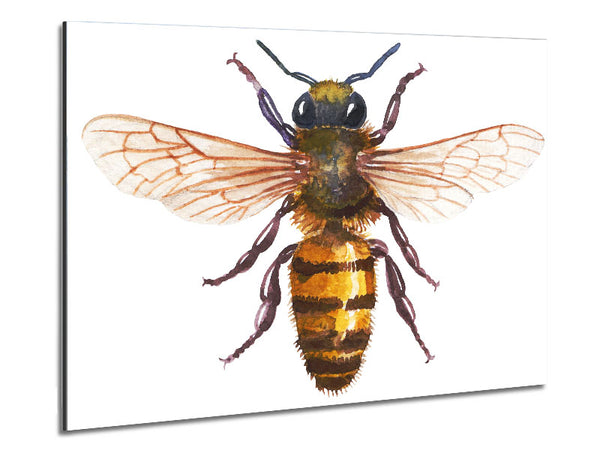 Watercolour Bee Metal Print