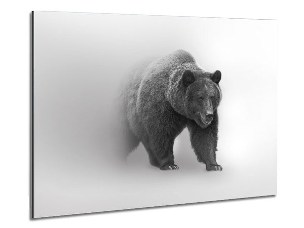 Bear In The Mist Metal Print