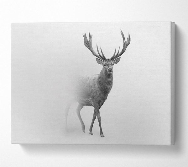  A Canvas Print of Stag In The Mist Canvas Art