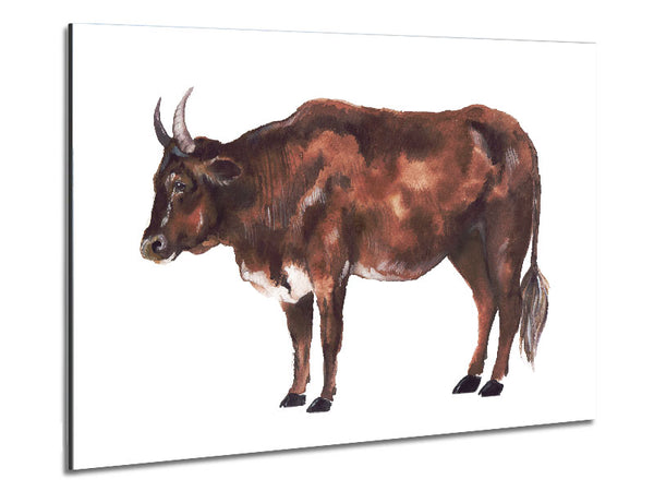 Big Brown Cow Metal Print