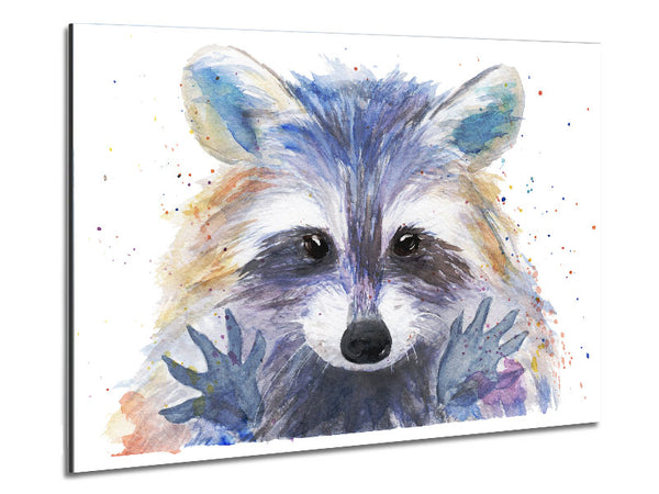 Watercolour Raccoon Metal Print