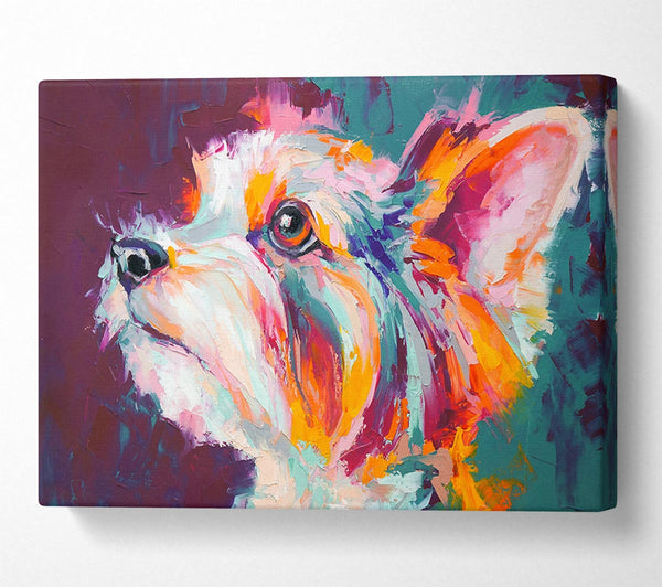  A Canvas Print of Vibrant Yorkshire Terrier Canvas Print