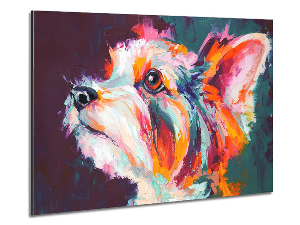 Vibrant Yorkshire Terrier Metal Print