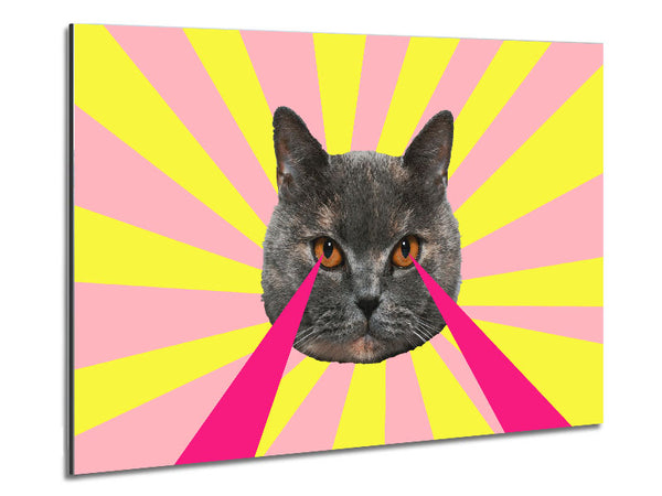 Cat Lazer Eyes Metal Print