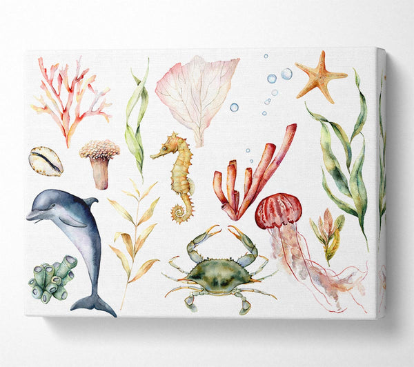  A Canvas Print of Water Colour Sea Creatures Canvas Wall Art