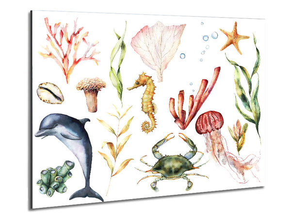 Water Colour Sea Creatures Metal Print