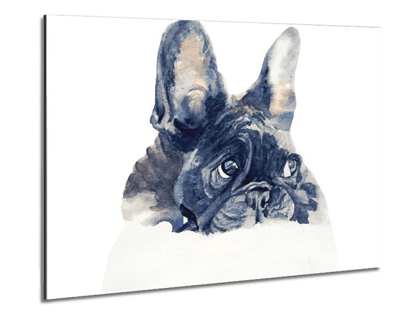Cute French Bulldog Metal Print