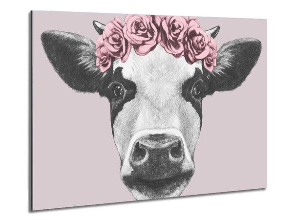 Rose Cow Head Metal Print