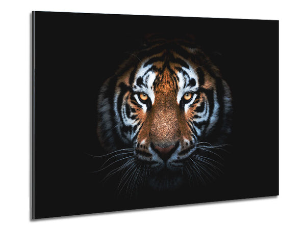 Tiger In The Dark Metal Print