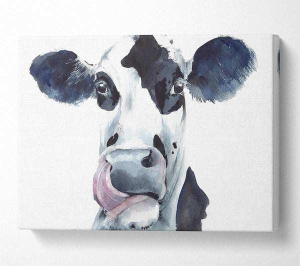  A Canvas Print of Cow Licking Canvas Wall Art