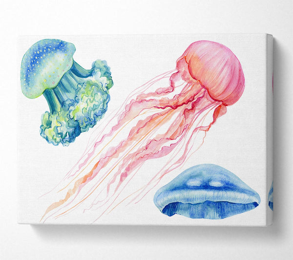  A Canvas Print of The Jellyfish Of The Sea Canvas Wall Art